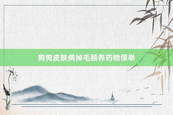 狗狗皮肤病掉毛颐养药物保举